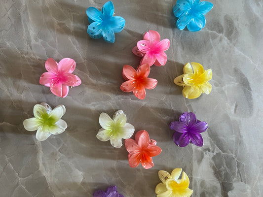 MINI HIBISCUS CLIPS